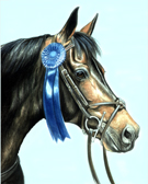 Jumper, Equine Art - Jumper Champ